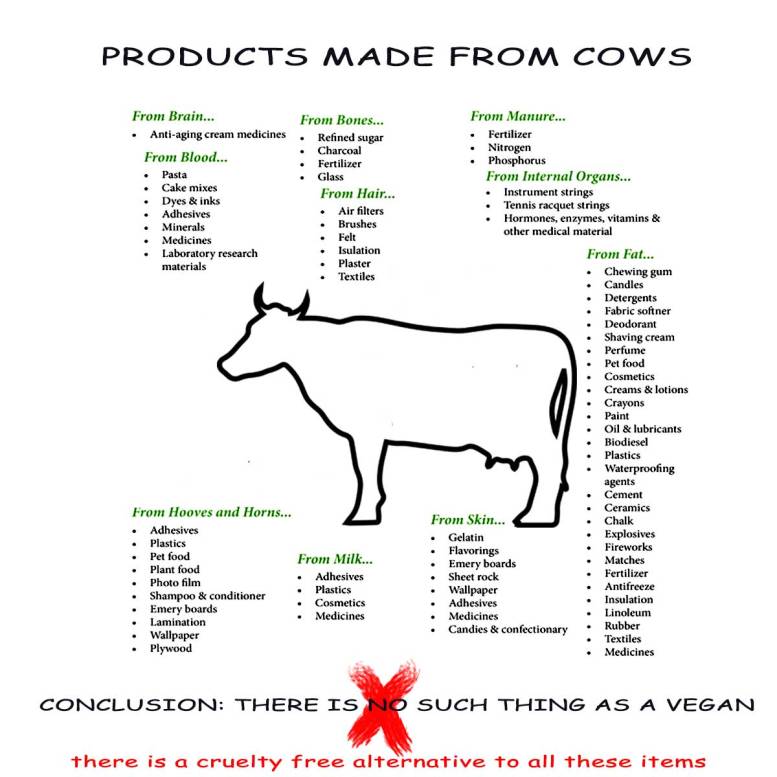 products-made-from-cows